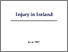 [thumbnail of Injury_in_Ireland.pdf]