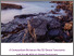 [thumbnail of 4. Comparison of the EU Green Taxonomy with South Africa’s Green Taxonomy.pdf]