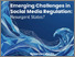 [thumbnail of Celeste-Robl-Sarlet_EmergingChallengesinSocialMediaRegulation.pdf]